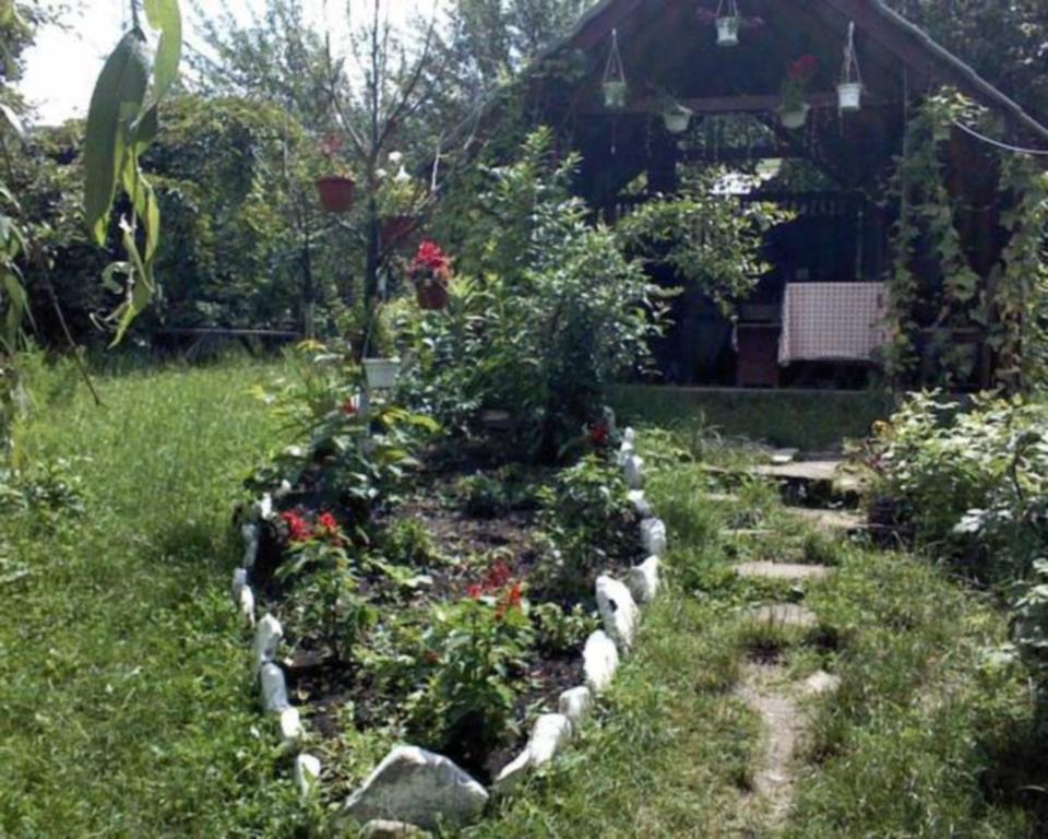 Pensiunea Letitia 2* Sucevita